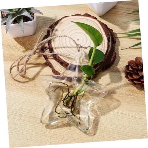 GLEAVI Small Hanging Glass Vase for Fresh Flowers and Dried Arrangements