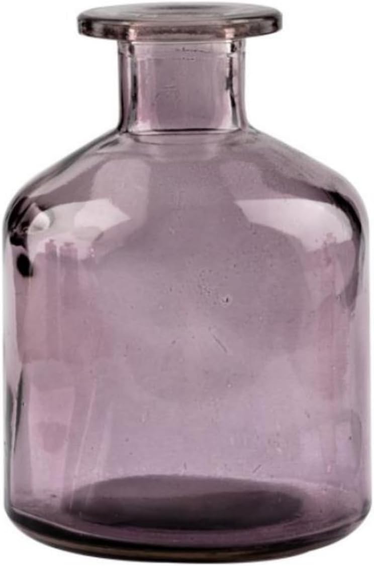 Elegant Glass Diffuser Vase for Aromatherapy and Home Decor