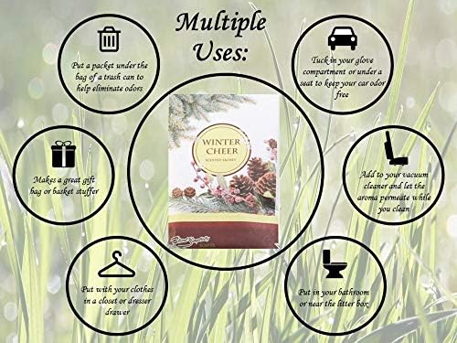 Floral Simplicity Winter Cheer Scented Sachets Pack of 6