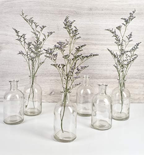 Serene Spaces Living 6 Pack Bud Vases for Decor