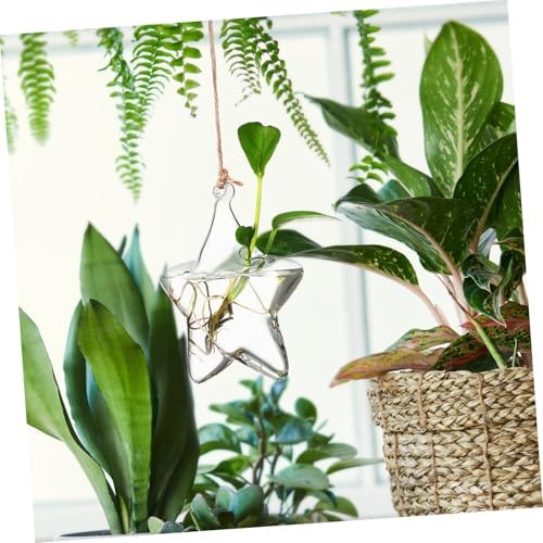 GLEAVI Small Hanging Glass Vase for Fresh Flowers and Dried Arrangements