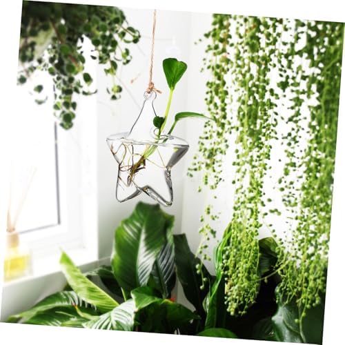 GLEAVI Small Hanging Glass Vase for Fresh Flowers and Dried Arrangements