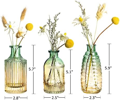 Joeyan Embossed Glass Vase Set of 3 Green and Amber