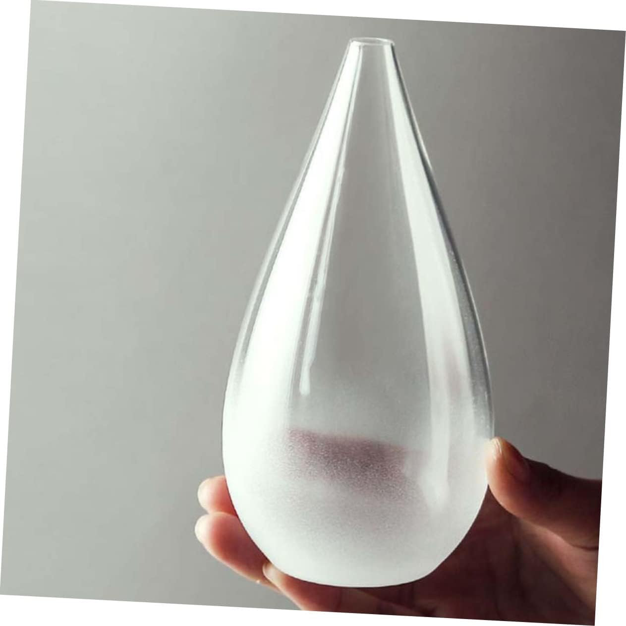 Alipis Transparent Glass Flower Vase for Home Decor