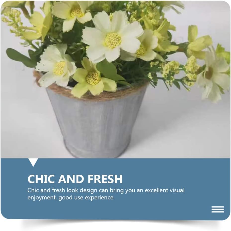 Zerodeko Vintage Iron Bucket Flowerpot Set