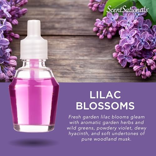 Scentsationals Fragrance Oil Refills 3-Pack Lilac Blossoms