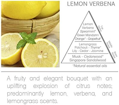 Acqua Aroma Lemon Verbena Reed Diffuser Oil 68 FL OZ