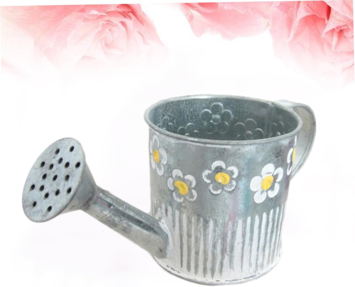 Iron Watering Pot Flower Vase for Home Decor