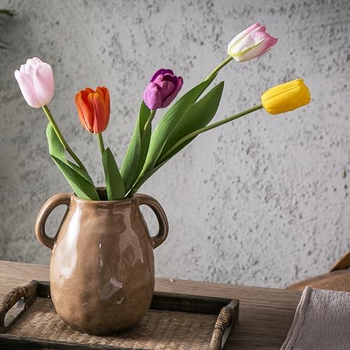Kimdio Brown Ceramic Vase with Handles