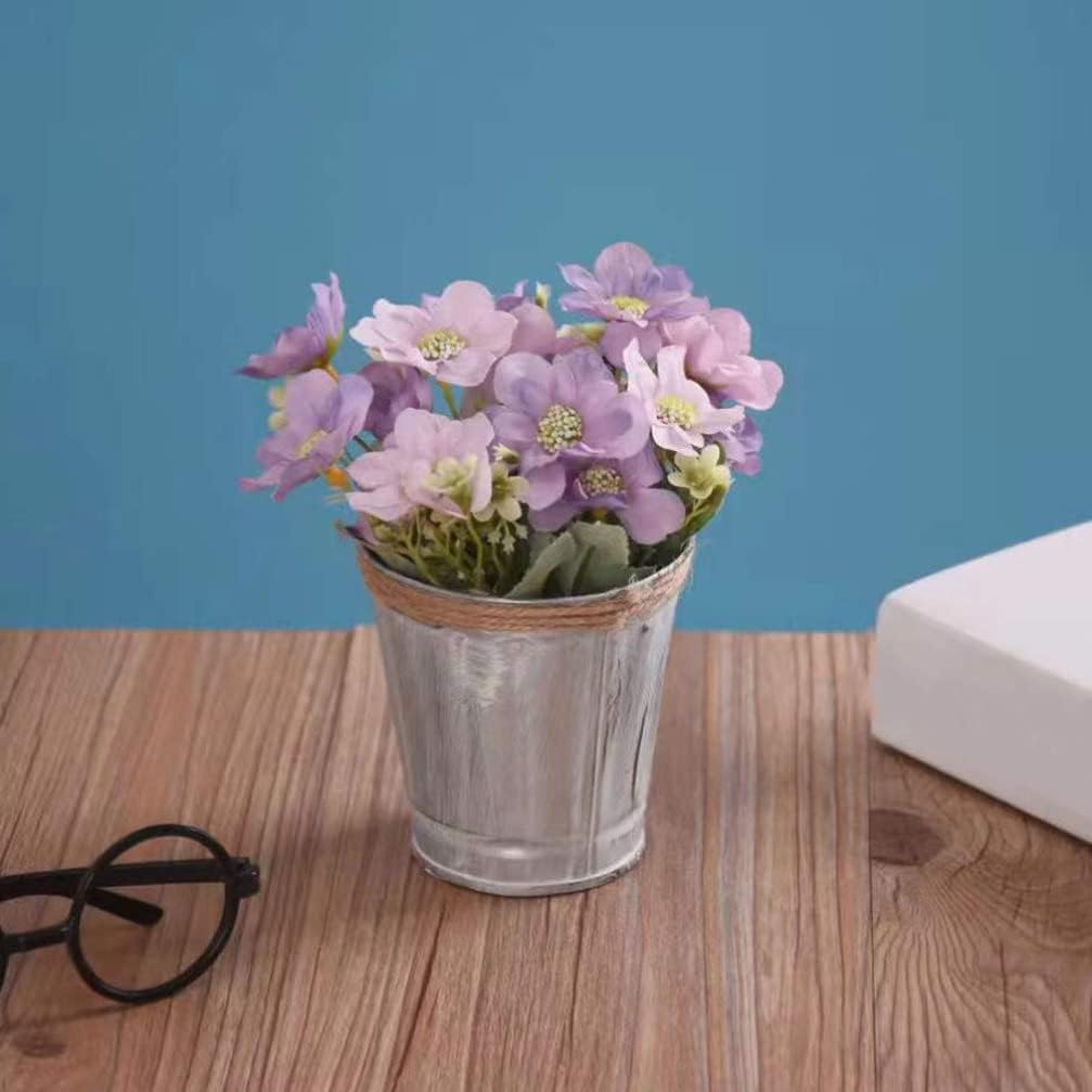 Zerodeko Vintage Iron Bucket Flowerpot Set