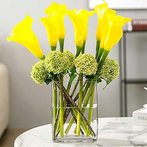 WGV Rectangle Block Vase 6x4x8 Inches Clear Glass