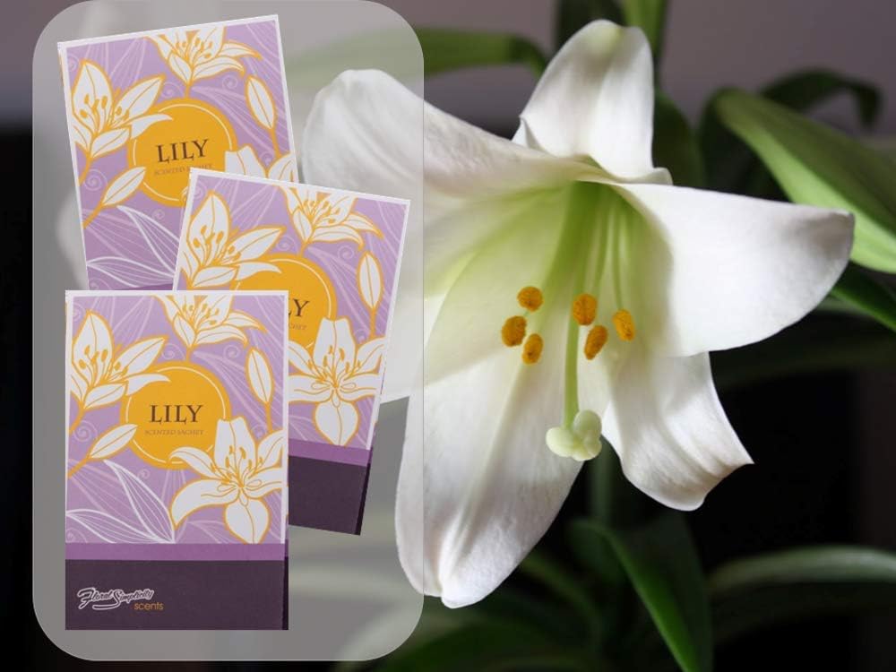 Lily Scented Sachets Pack of 6 - Home Fragrance