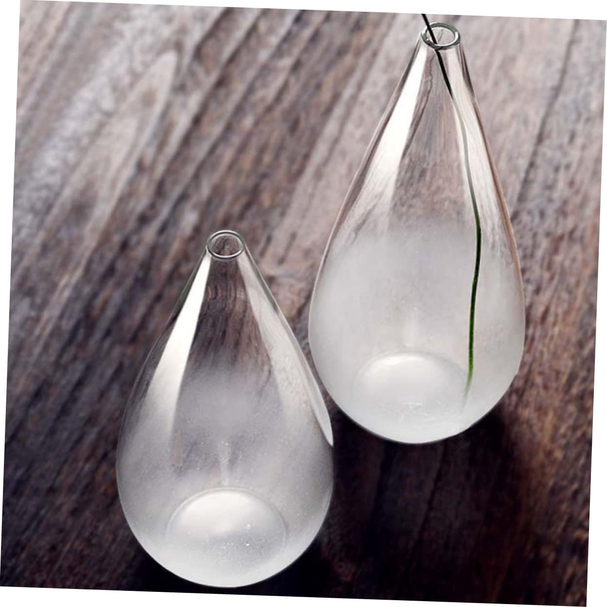 Alipis Transparent Glass Flower Vase for Home Decor
