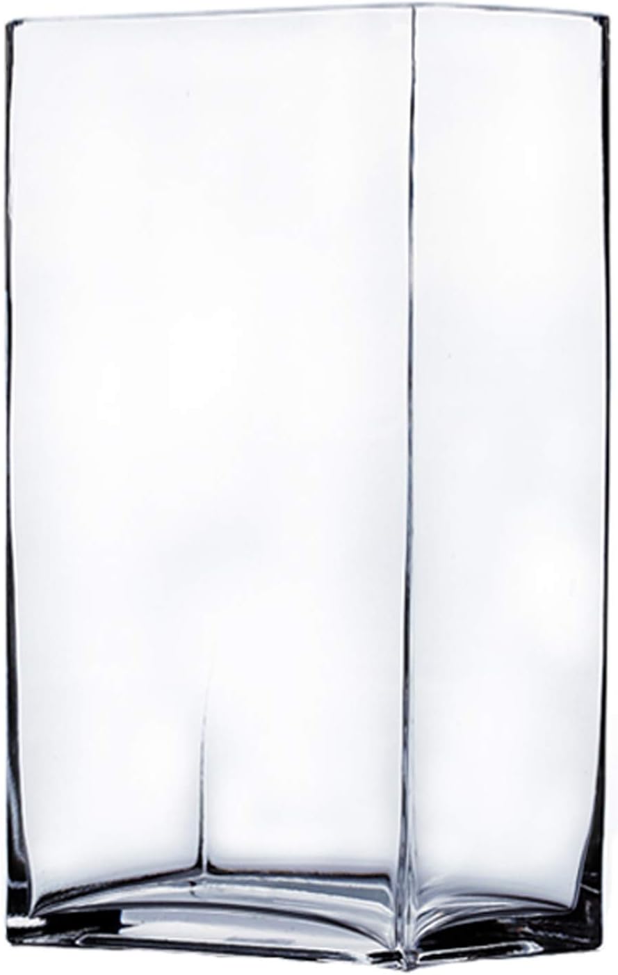 WGV Rectangle Block Vase 6x4x8 Inches Clear Glass