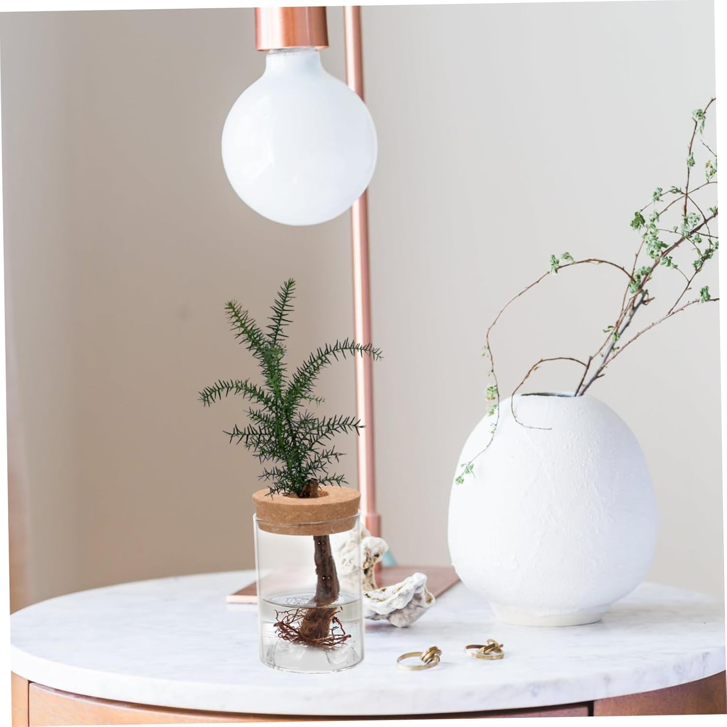 FUNOMOCYA Glass Vase Airtight Jar for Plants and Flowers