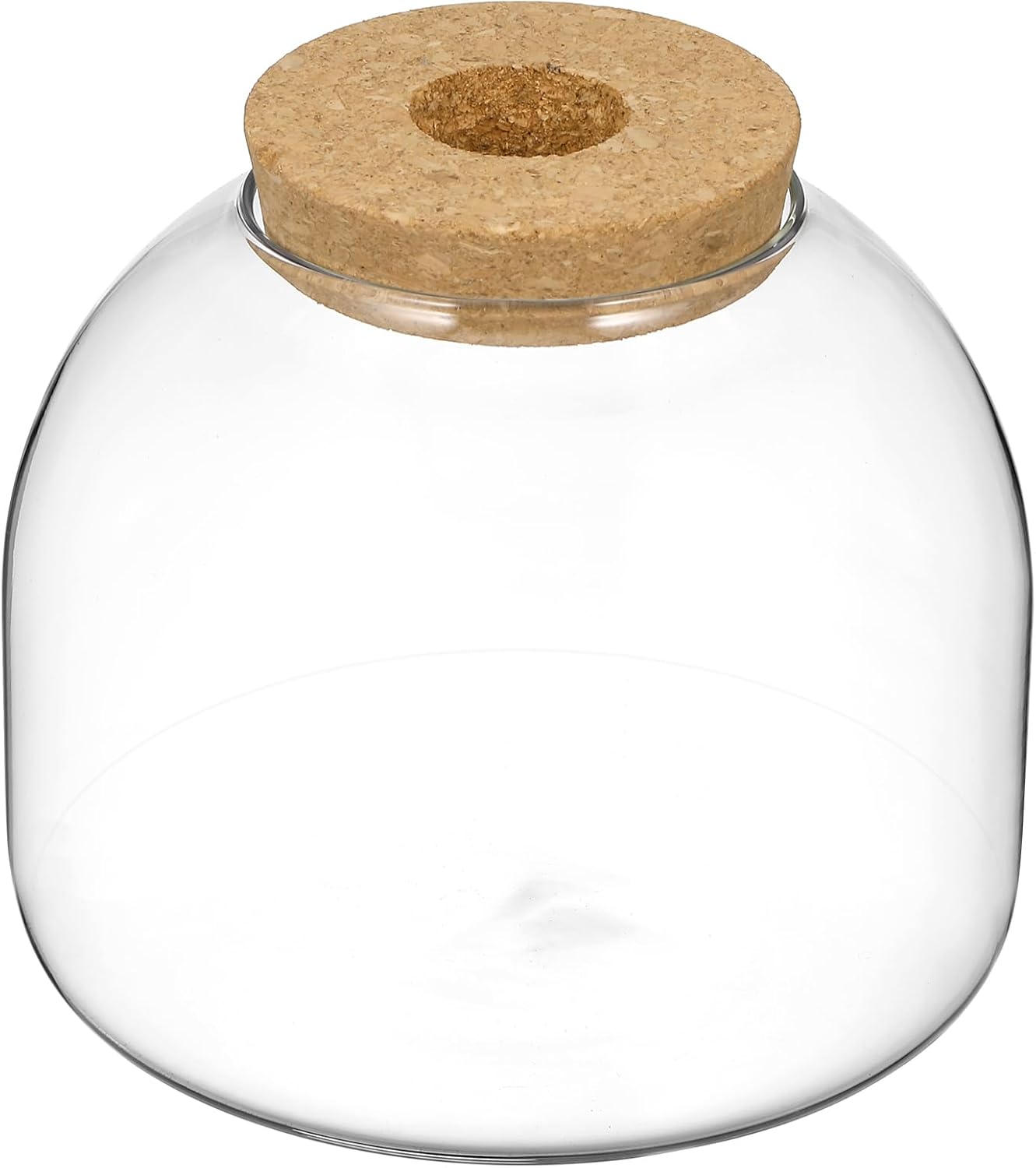 Happyyami Glass Terrarium Jar with Wood Cork
