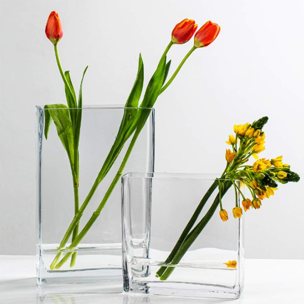 WGVI Glass Rectangle Block Vase 2x5x6 Inch