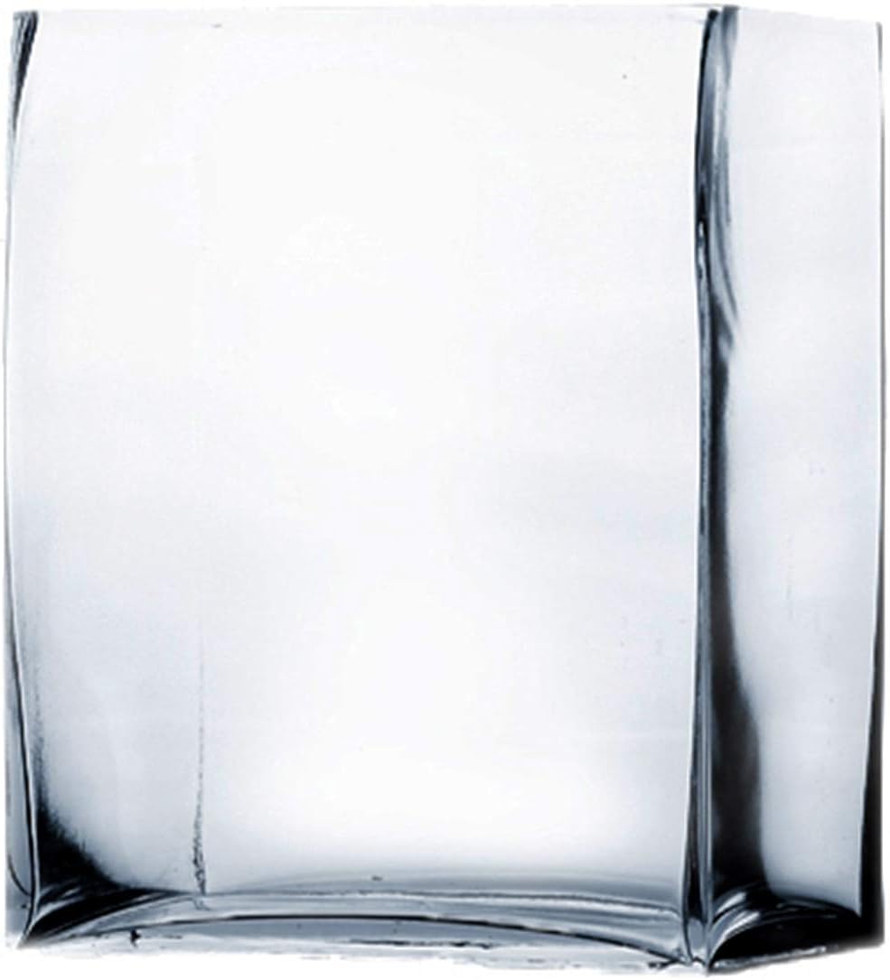 WGVI Glass Rectangle Block Vase 2x5x6 Inch