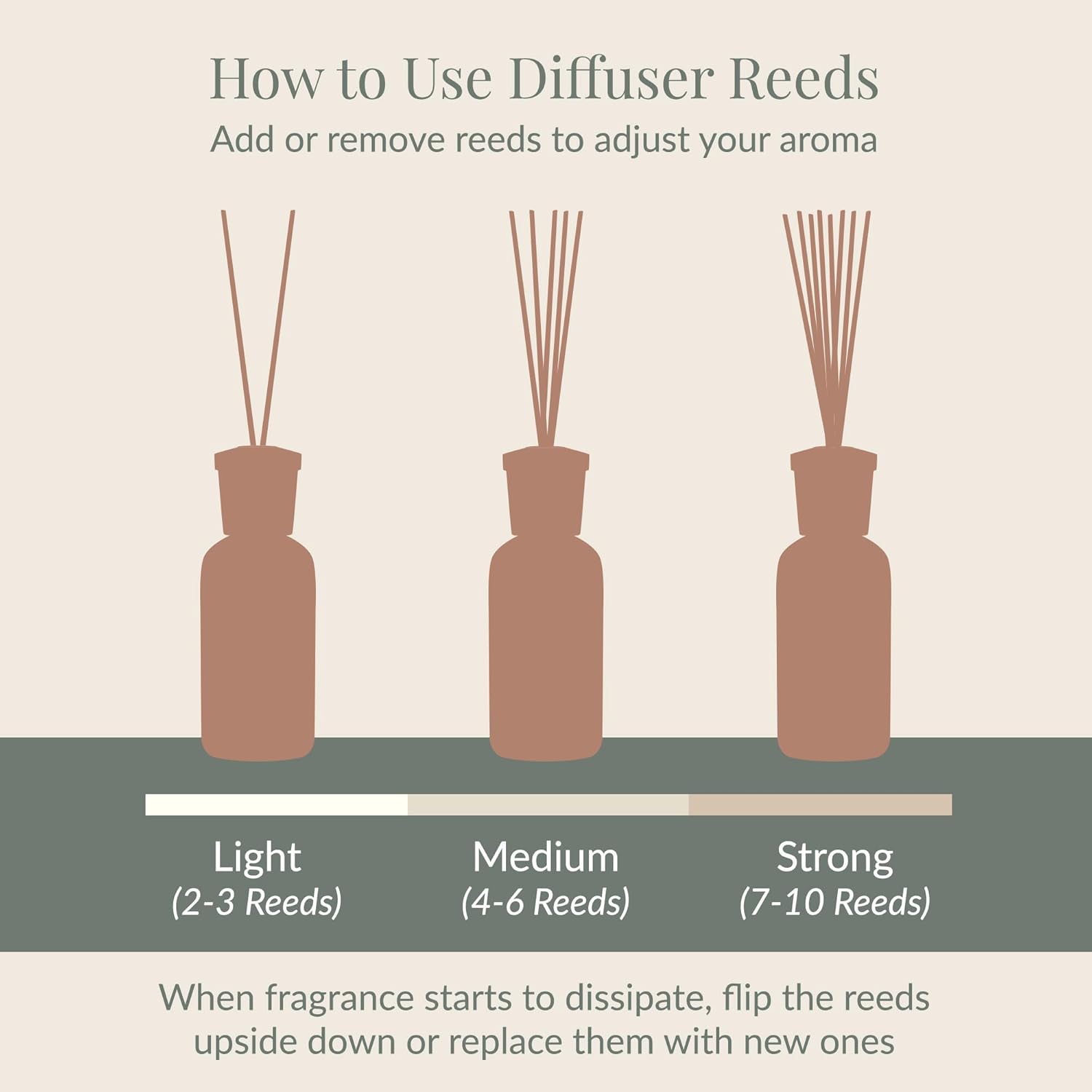 Archipelago Botanicals Charcoal Rose Diffuser Oil Refill 785 Fl Oz
