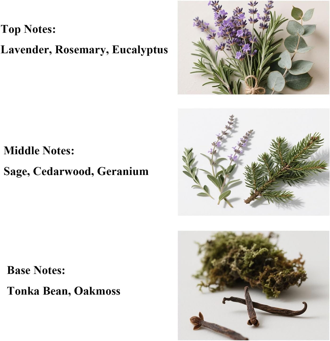 Aroma Lyric Lavender Reed Diffuser Oil Refill 1015oz