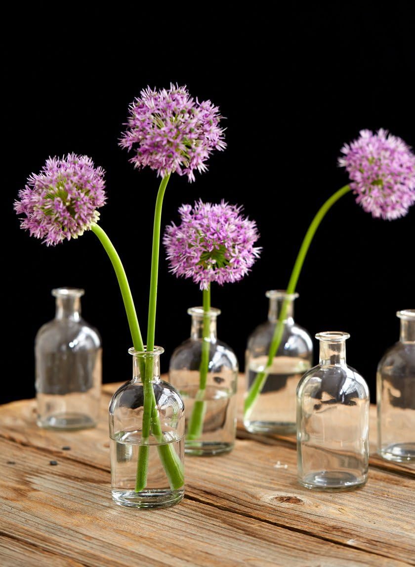 Serene Spaces Living 6 Pack Bud Vases for Decor