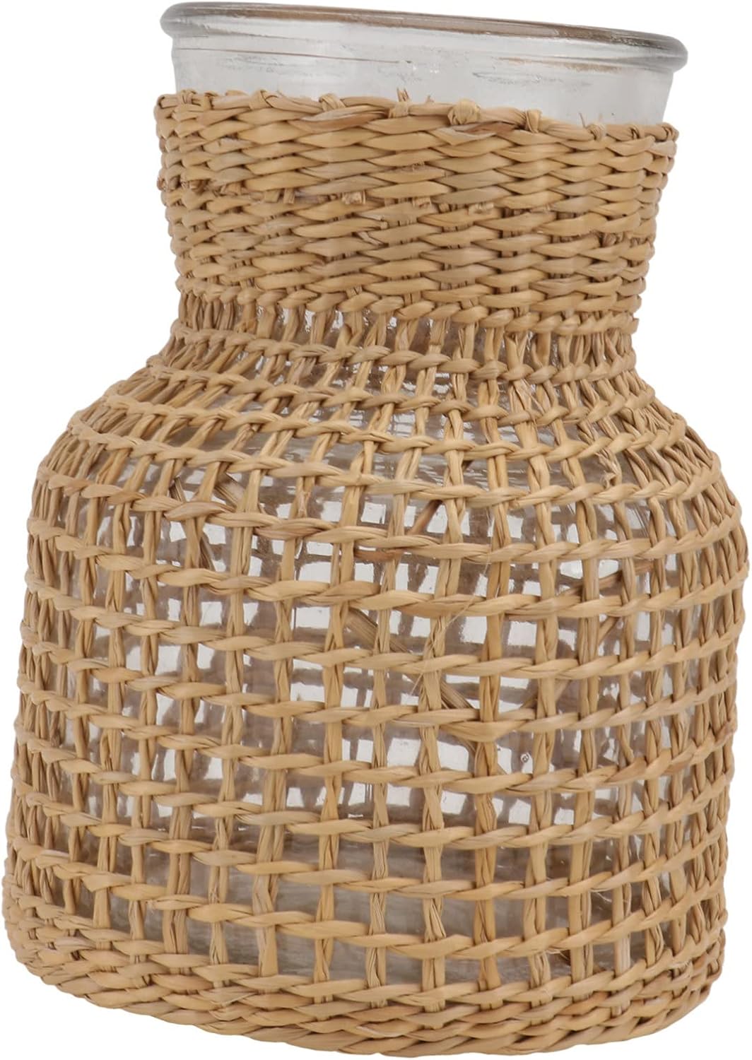 Woven Hydroponic Flower Vase for Modern Home Decor
