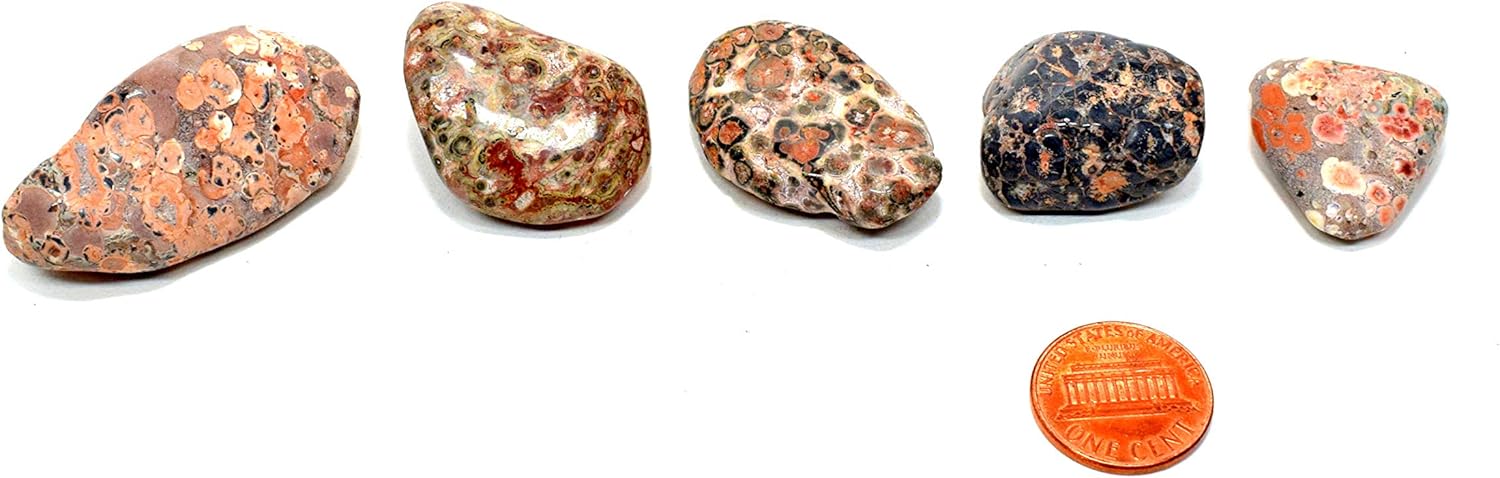 10PCS Leopardite Jasper Pebbles Natural Polished Indoor Fountain Stones