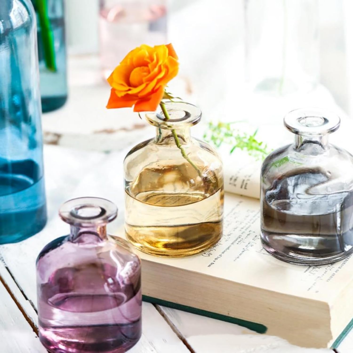 Elegant Glass Diffuser Vase for Aromatherapy and Home Decor