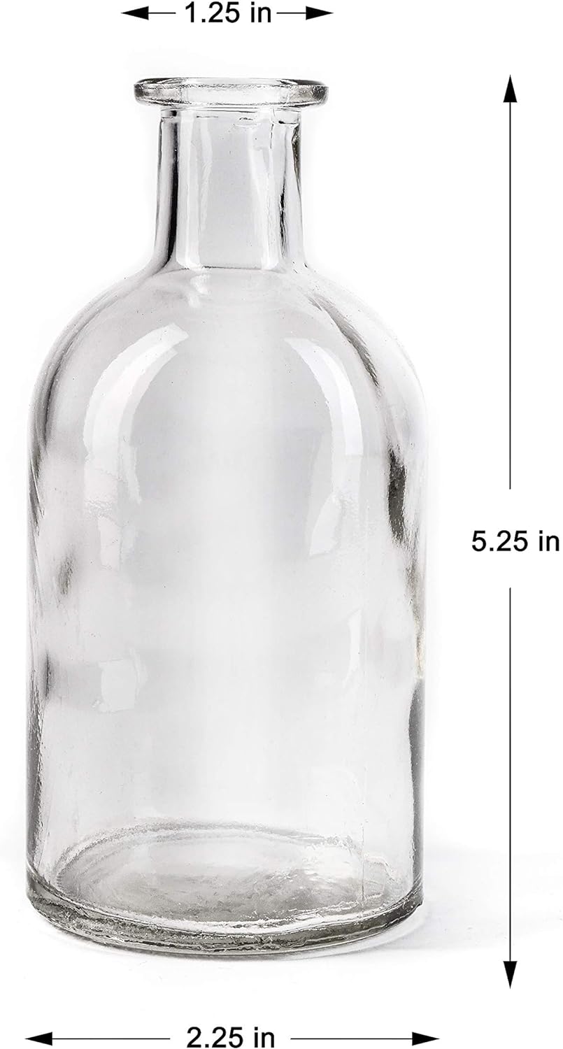 Serene Spaces Living 6 Pack Bud Vases for Decor