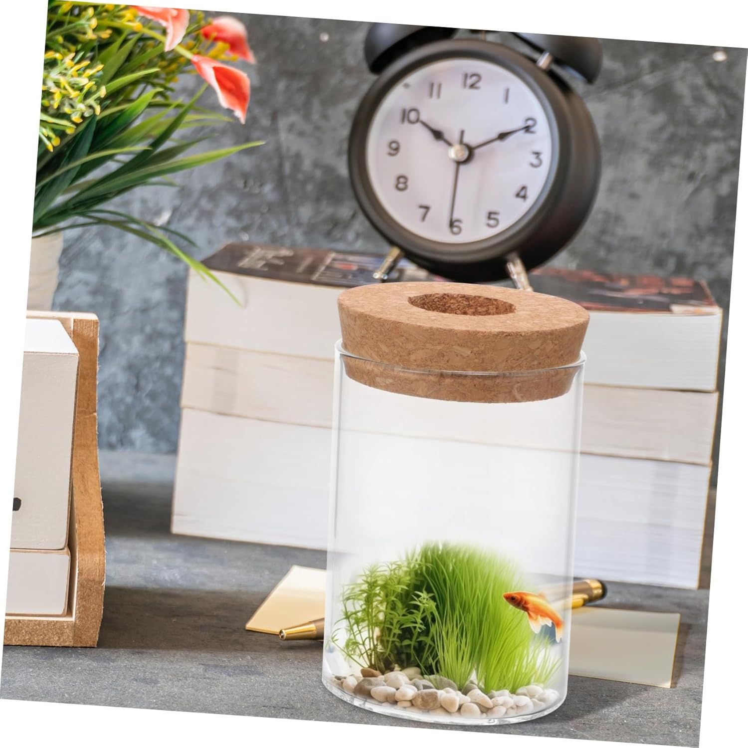 FUNOMOCYA Glass Vase Airtight Jar for Plants and Flowers