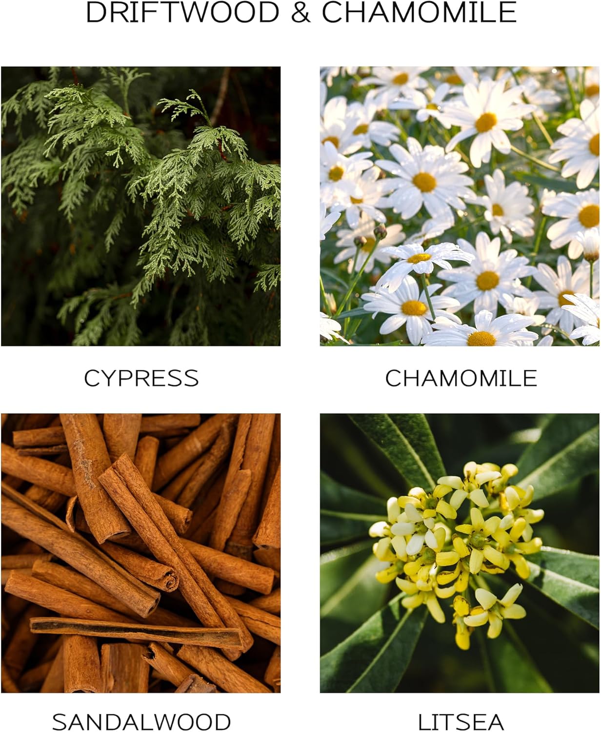 Airkeep Reed Diffuser Oil Refill with 8 Sticks 200ml Chamomile Wood Scent