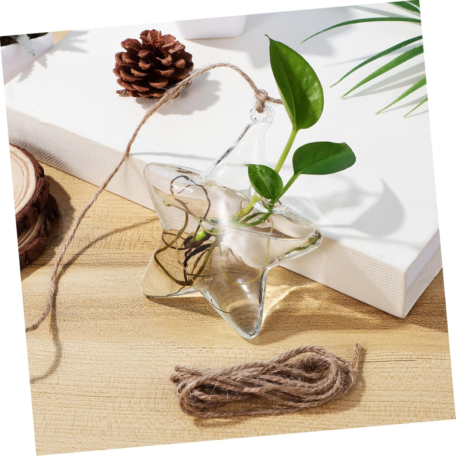 GLEAVI Small Hanging Glass Vase for Fresh Flowers and Dried Arrangements