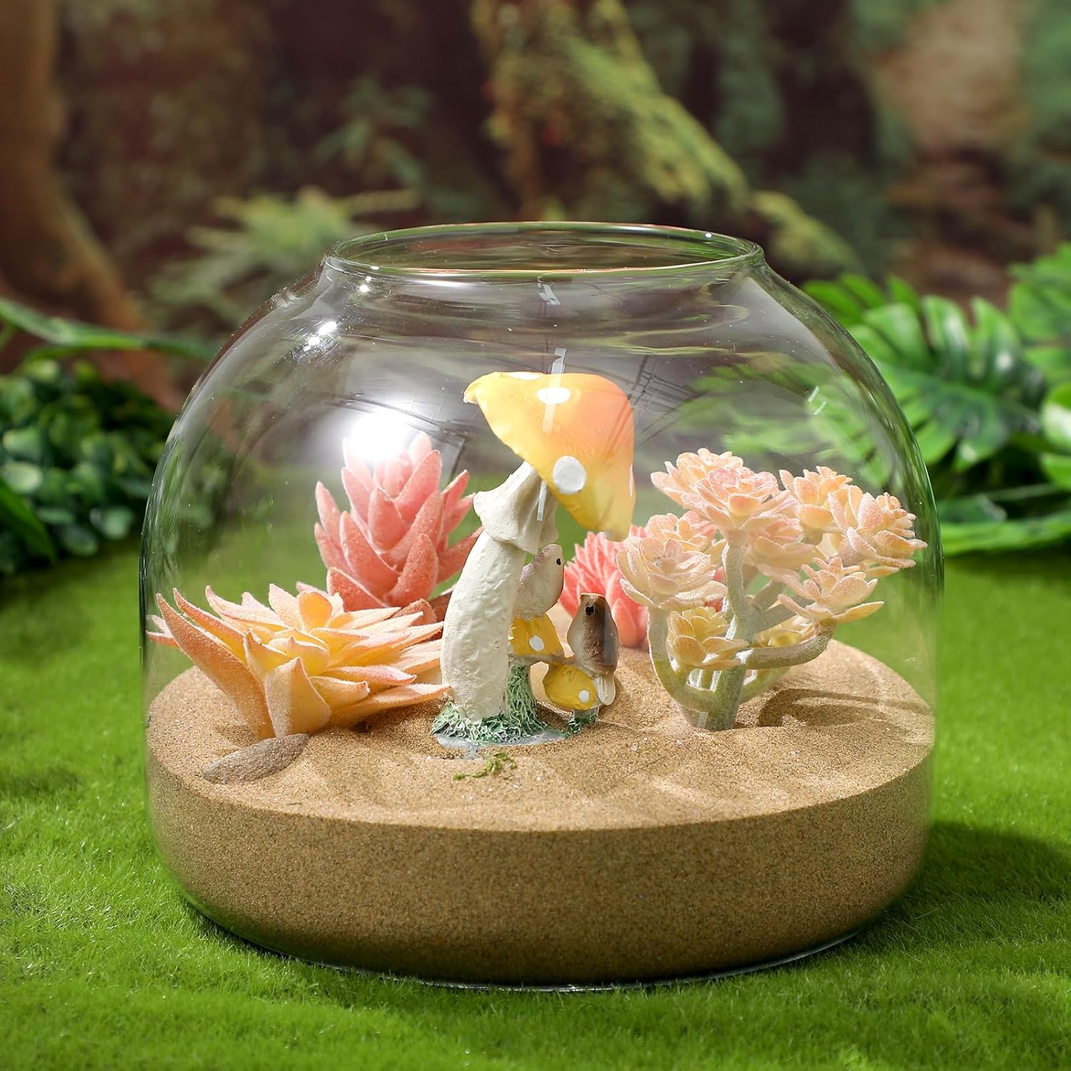 Happyyami Glass Terrarium Jar with Wood Cork