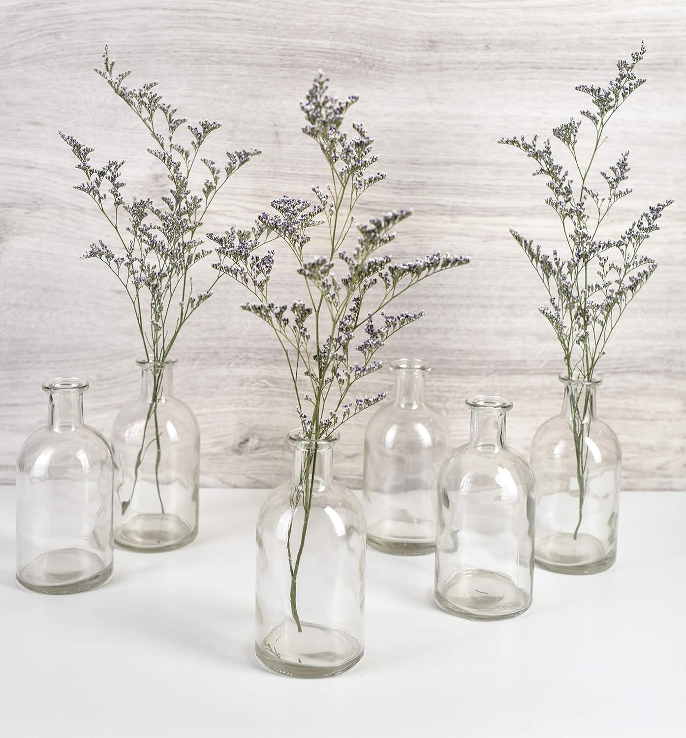 Serene Spaces Living 6 Pack Bud Vases for Decor