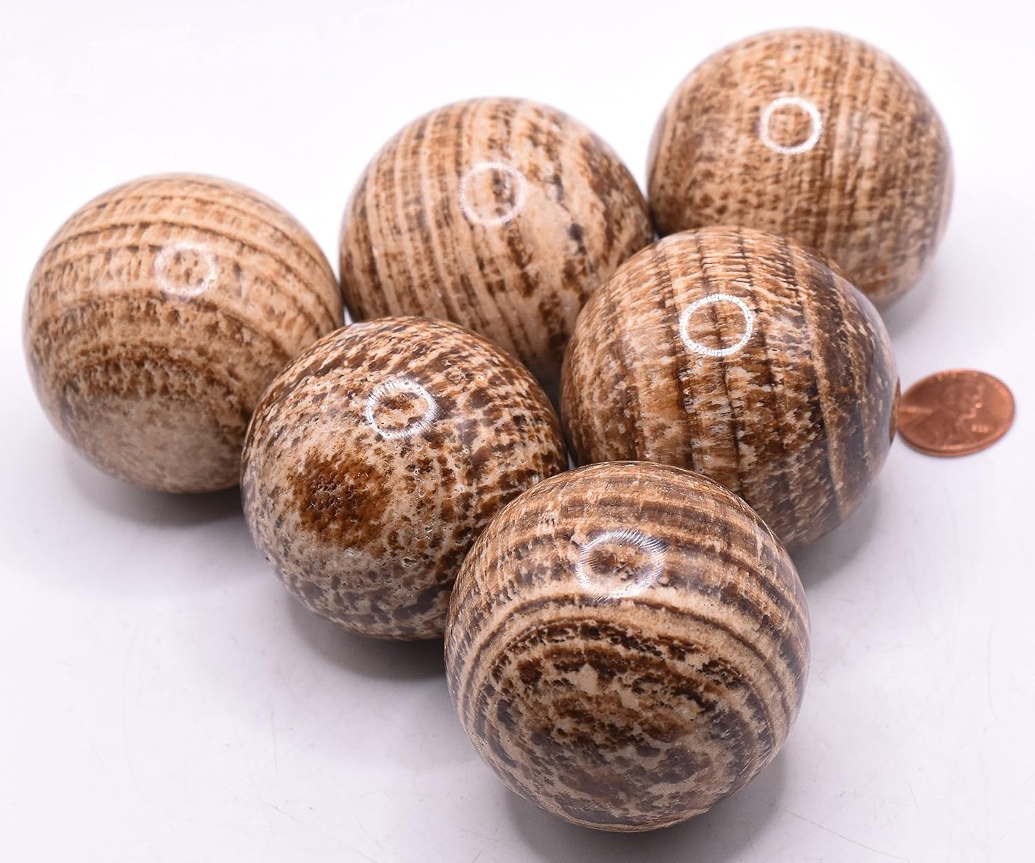 HQRP 2 Inch Banded Brown Aragonite Sphere with Stand