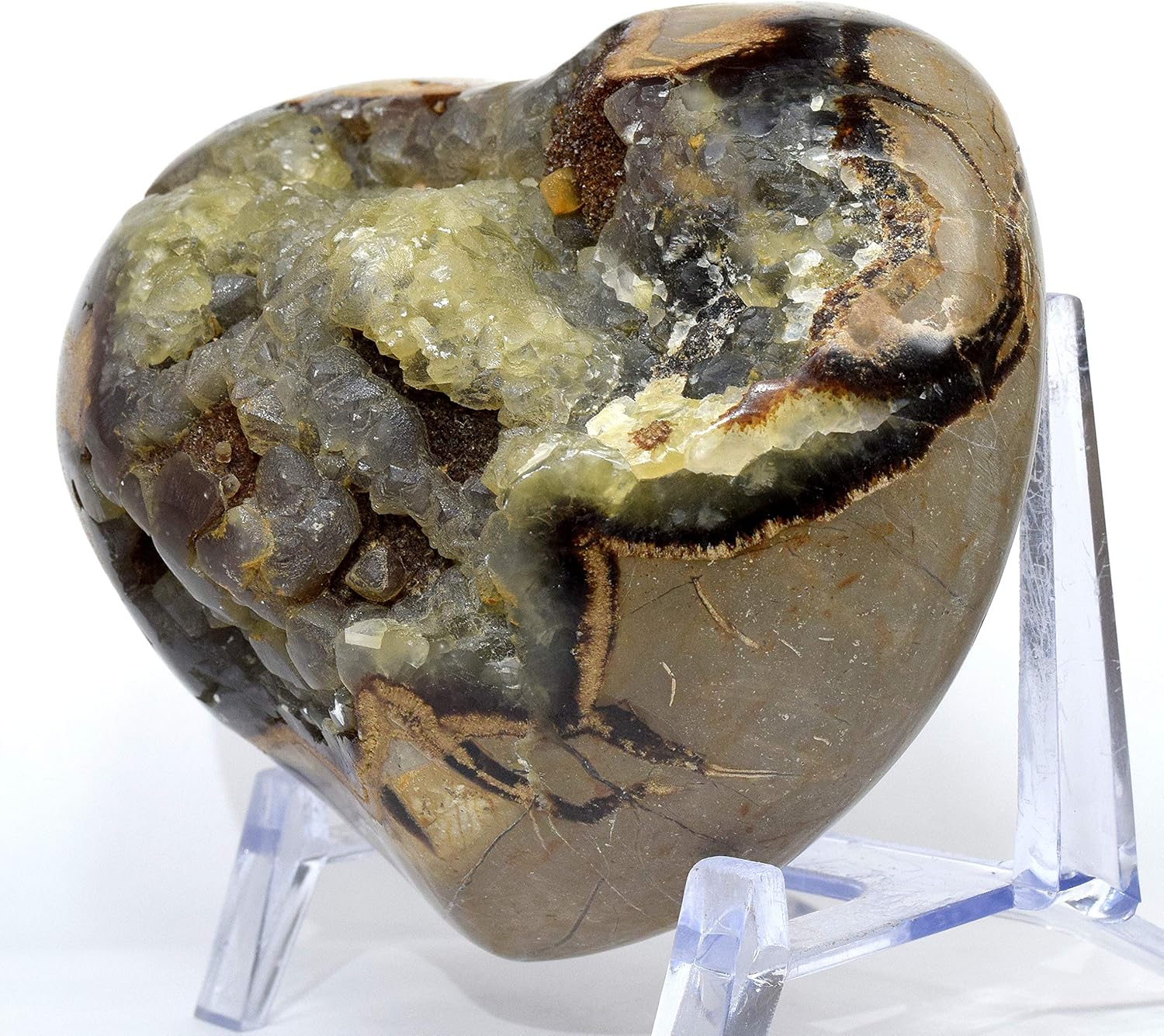 Large 3lb Septarian Dragon Stone Puffy Heart with Display Stand