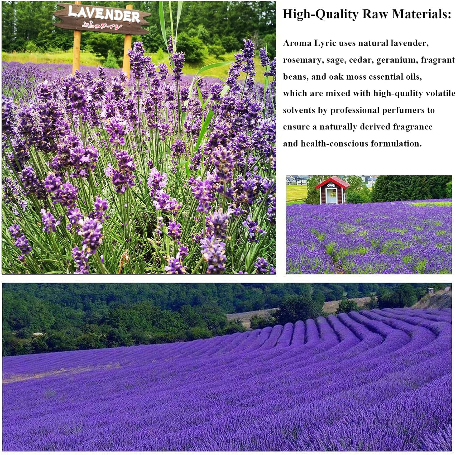 Aroma Lyric Lavender Reed Diffuser Oil Refill 1015oz