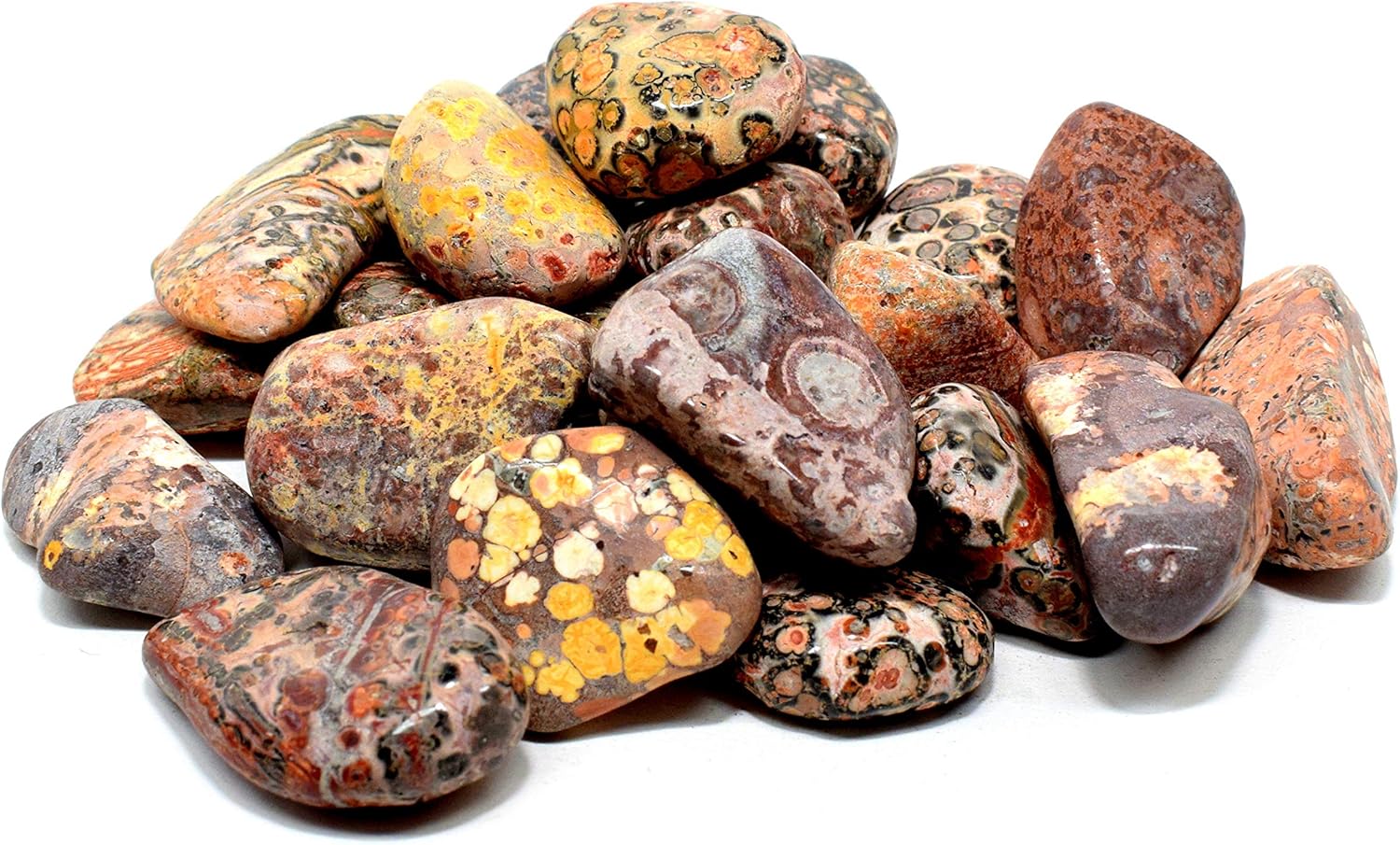 10PCS Leopardite Jasper Pebbles Natural Polished Indoor Fountain Stones