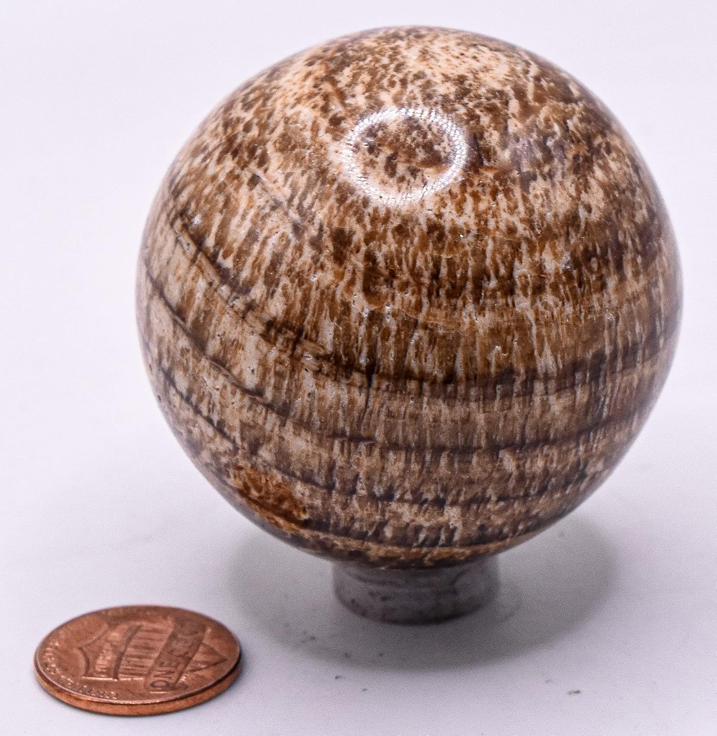 HQRP 2 Inch Banded Brown Aragonite Sphere with Stand
