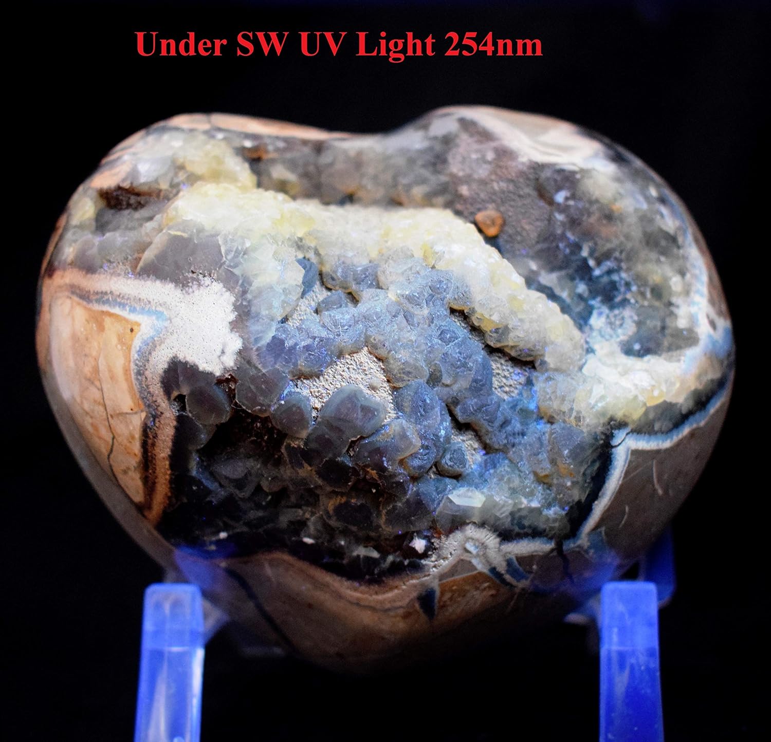 Large 3lb Septarian Dragon Stone Puffy Heart with Display Stand