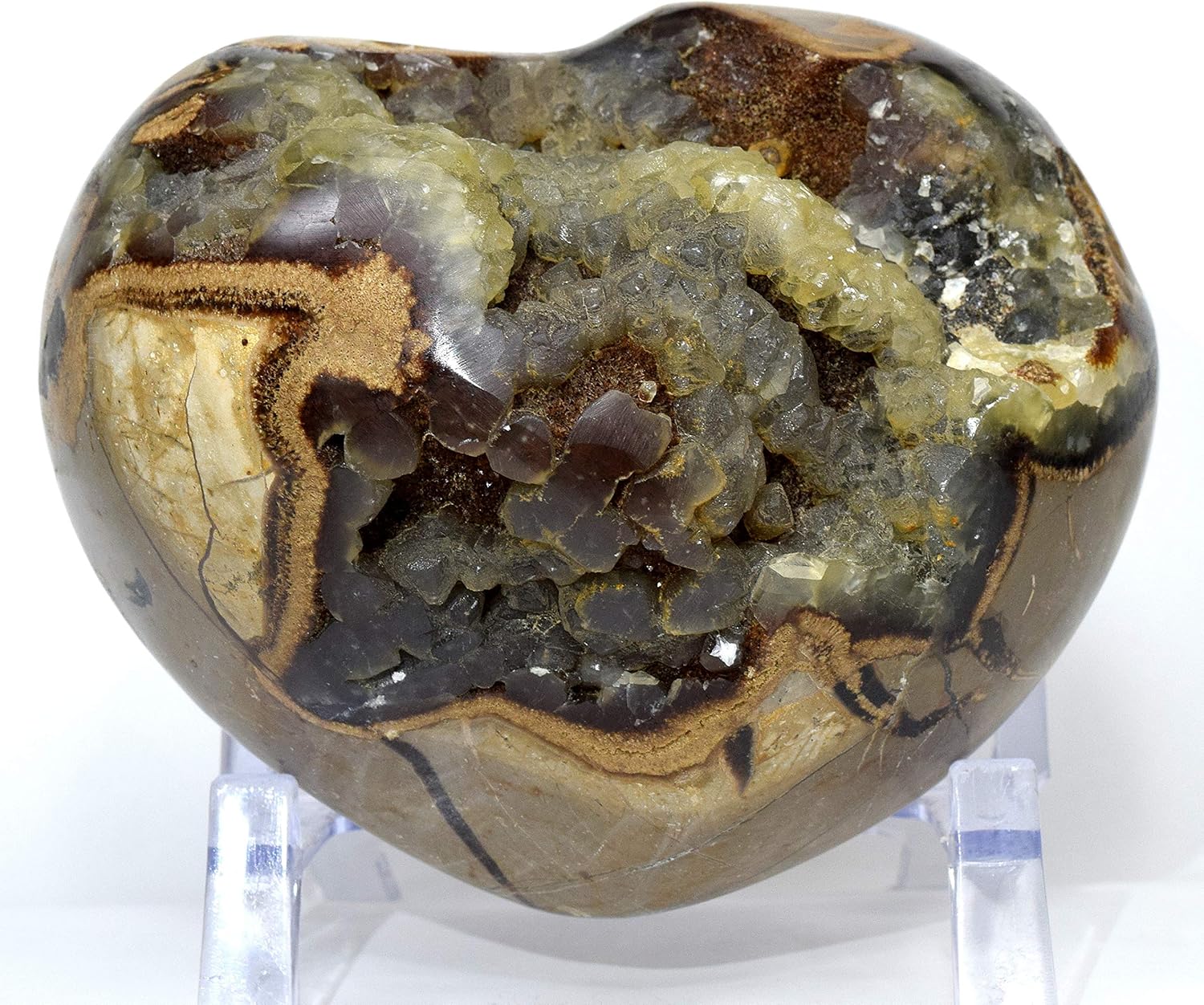Large 3lb Septarian Dragon Stone Puffy Heart with Display Stand